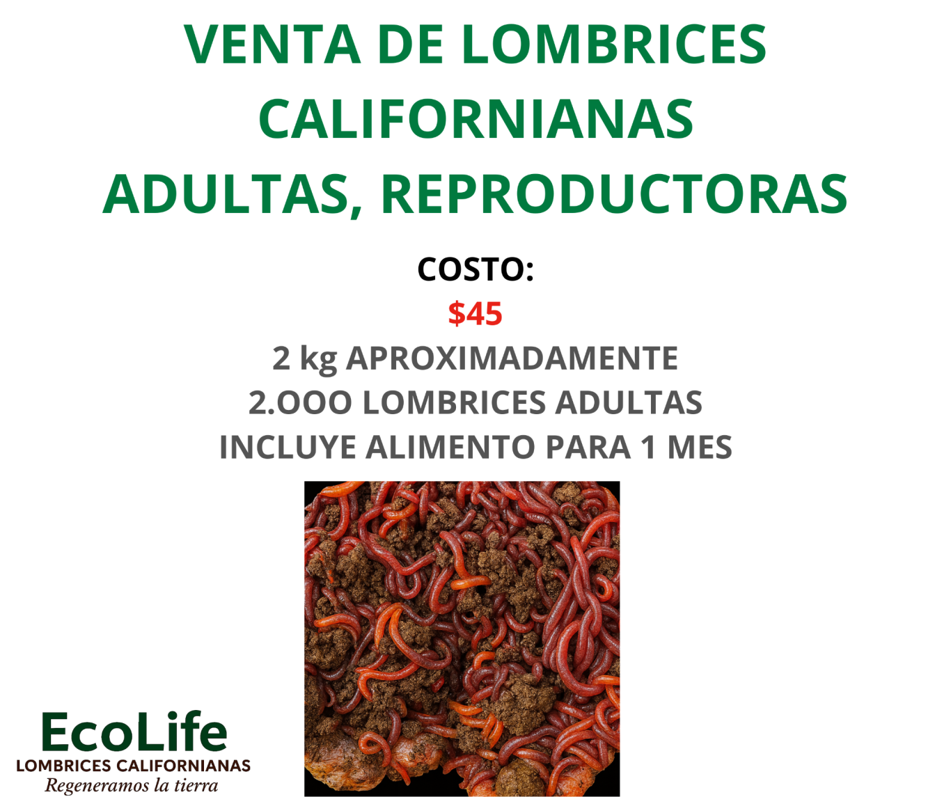 Fertilización orgánica con humus de lombriz EcoLife en cultivo de pitahaya bajo agricultura sostenible en Ecuador